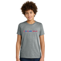Unisex Youth Cotton-Poly Tee - Grey Small CQ Back