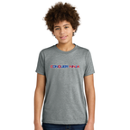Unisex Youth Cotton-Poly Tee - Grey Small CQ Back