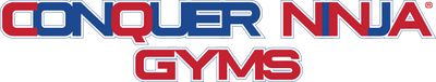 Conquer Ninja Gym